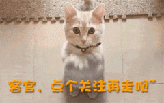 愈加切近年轻消